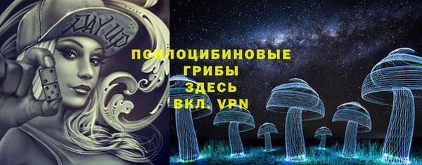 гашик Волосово
