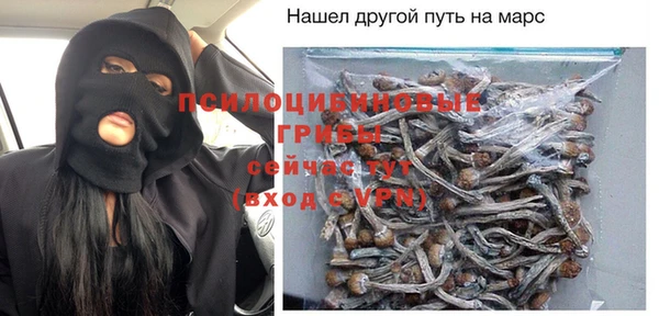 гашик Волосово